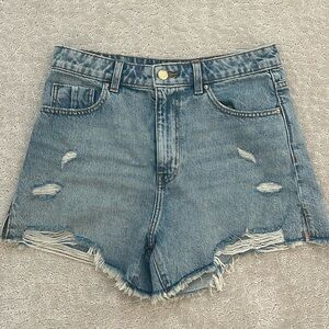 Zara Shorts